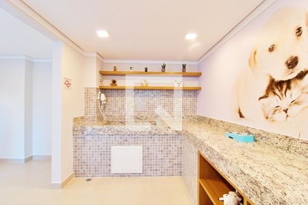 Apartamento para alugar com 40m², 2 quartos e sem vagaPet Care