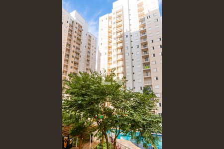 Apartamento à venda com 52m², 2 quartos e 1 vagaQuarto 1