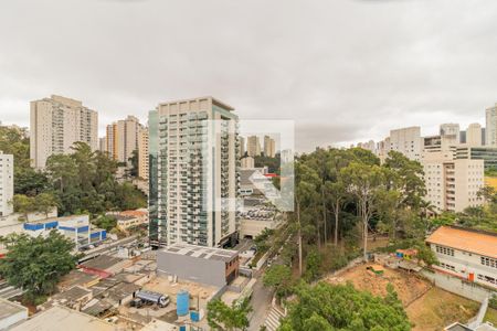 Vista da Varanda da Sala de apartamento para alugar com 2 quartos, 55m² em Vila Andrade, São Paulo
