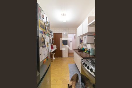 Apartamento à venda com 80m², 2 quartos e 1 vagaCozinha
