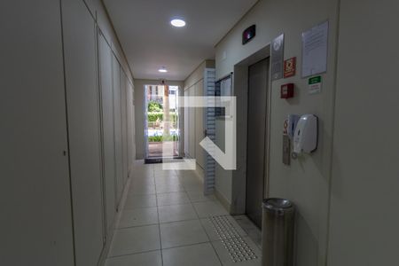 Apartamento para alugar com 64m², 2 quartos e 1 vaga Apartamento para alugar com 64m², 2 quartos e 1 vagaHall de entrada