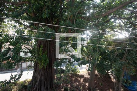 Apartamento para alugar com 70m², 2 quartos e sem vagaVista do Quarto 2