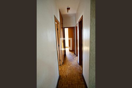 Corredor de apartamento para alugar com 3 quartos, 91m² em Salgado Filho, Belo Horizonte