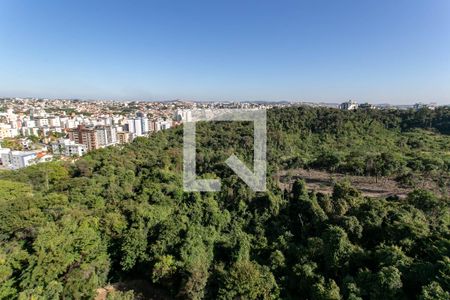 Vista da Varanda de apartamento para alugar com 3 quartos, 85m² em Castelo, Belo Horizonte