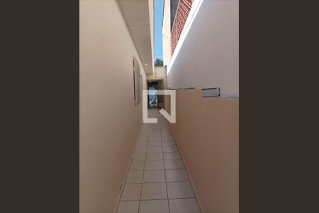 Casa para alugar com 300m², 6 quartos e 3 vagas Casa para alugar com 300m², 6 quartos e 3 vagasQuintal