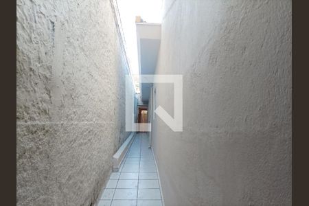 Casa para alugar com 300m², 6 quartos e 3 vagas Casa para alugar com 300m², 6 quartos e 3 vagasQuintal