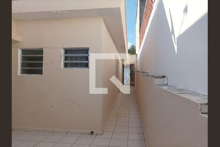 Casa para alugar com 300m², 6 quartos e 3 vagas Casa para alugar com 300m², 6 quartos e 3 vagasQuintal