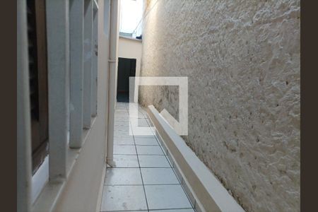 Casa para alugar com 300m², 6 quartos e 3 vagas Casa para alugar com 300m², 6 quartos e 3 vagasQuintal