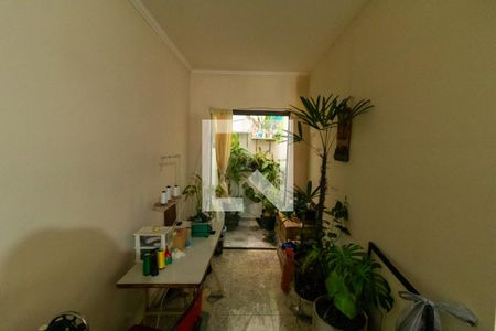Jardim de casa à venda com 3 quartos, 70m² em Vila Guilhermina, São Paulo