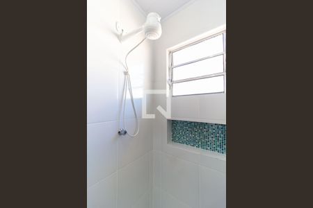 Banheiro de casa para alugar com 1 quarto, 32m² em Belenzinho, São Paulo