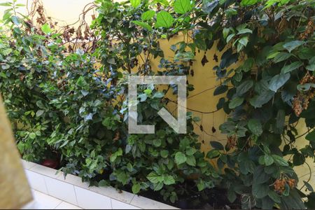 Casa à venda com 227m², 3 quartos e 2 vagasVista