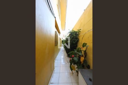 Casa à venda com 227m², 3 quartos e 2 vagasQuintal