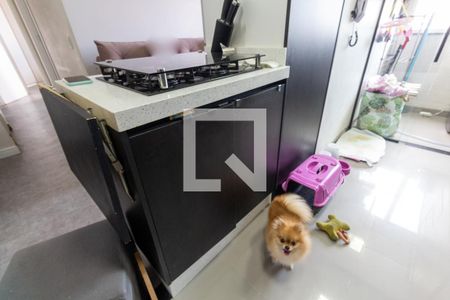 Apartamento para alugar com 47m², 2 quartos e 1 vagaCozinha - Armários
