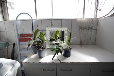 Apartamento à venda com 123m², 3 quartos e 2 vagasÁrea de Serviço