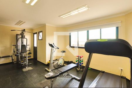 Apartamento à venda com 145m², 3 quartos e 3 vagas Apartamento à venda com 145m², 3 quartos e 3 vagasÁrea comum - Academia