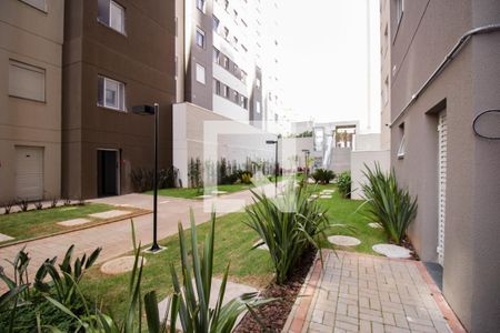 Apartamento para alugar com 55m², 2 quartos e 1 vaga Apartamento para alugar com 55m², 2 quartos e 1 vagaÁrea comum