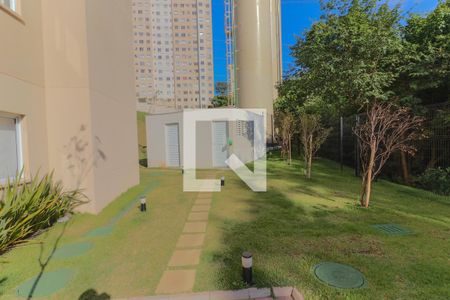 Apartamento para alugar com 33m², 2 quartos e sem vaga Apartamento para alugar com 33m², 2 quartos e sem vagaArea Comum - Condominio