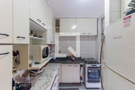 Cozinha de apartamento para alugar com 2 quartos, 52m² em Sítio Pinheirinho, São Paulo