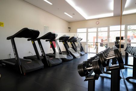 Apartamento à venda com 125m², 4 quartos e 2 vagasÁrea comum - Academia