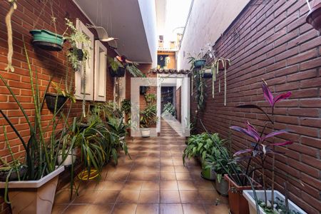 Casa de condomínio à venda com 180m², 3 quartos e 2 vagas Casa de condomínio à venda com 180m², 3 quartos e 2 vagasCorredor Lateral