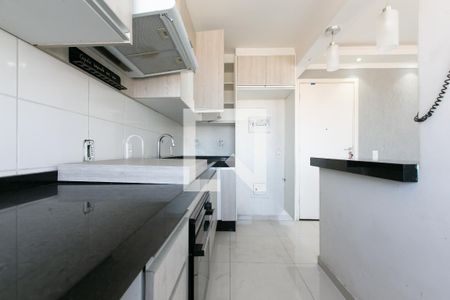 Apartamento para alugar com 45m², 2 quartos e 1 vaga Apartamento para alugar com 45m², 2 quartos e 1 vagaCozinha - Armários