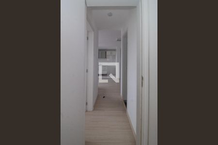 Corredor de apartamento para alugar com 2 quartos, 45m² em Camaquã, Porto Alegre