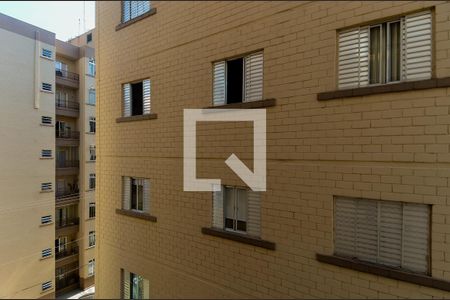 Apartamento para alugar com 57m², 2 quartos e 1 vagaVista do Quarto 1