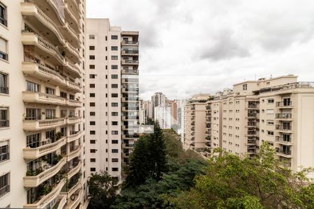 Apartamento à venda com 220m², 3 quartos e 4 vagasVista da Varanda