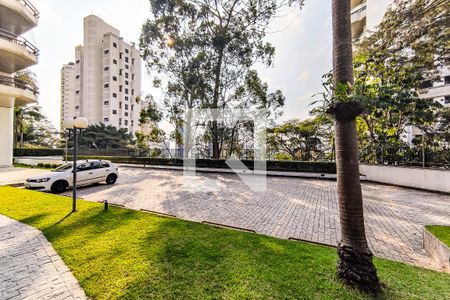 Apartamento para alugar com 430m², 4 quartos e 4 vagasÁrea Comum - Vagas Visitantes