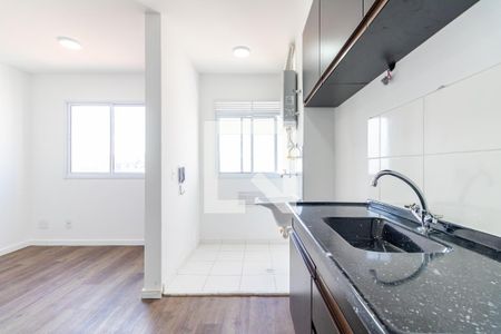 Cozinha de apartamento para alugar com 2 quartos, 35m² em Pedreira, São Paulo