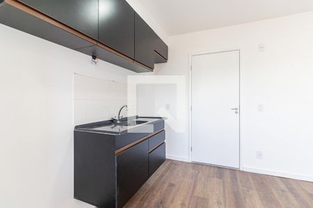 Cozinha de apartamento para alugar com 2 quartos, 35m² em Pedreira, São Paulo