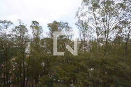 Apartamento para alugar com 63m², 2 quartos e 1 vagaVista do Quarto 2