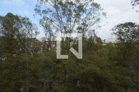 Apartamento para alugar com 63m², 2 quartos e 1 vagaVista da Varanda