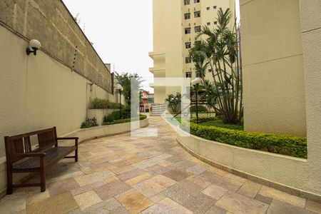 Área Comum de apartamento para alugar com 3 quartos, 100m² em Mooca, São Paulo