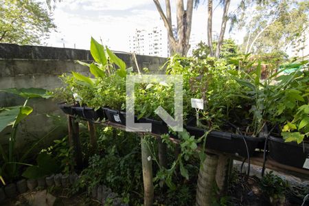 Apartamento para alugar com 65m², 2 quartos e 1 vaga Apartamento para alugar com 65m², 2 quartos e 1 vagaÁrea comum - Horta