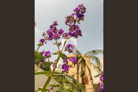 Apartamento para alugar com 69m², 3 quartos e 1 vaga Apartamento para alugar com 69m², 3 quartos e 1 vagaJardim