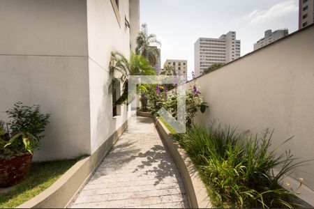 Apartamento para alugar com 69m², 3 quartos e 1 vaga Apartamento para alugar com 69m², 3 quartos e 1 vagaJardim