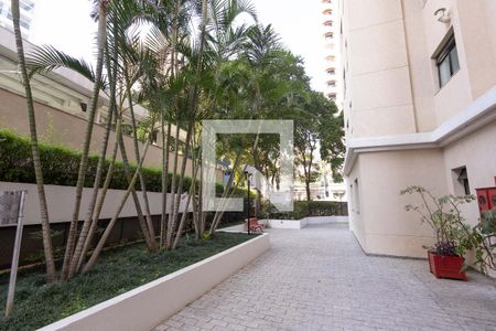 Apartamento para alugar com 75m², 3 quartos e 2 vagas Apartamento para alugar com 75m², 3 quartos e 2 vagasÁrea comum