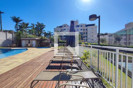 Área comum - Piscina de apartamento à venda com 3 quartos, 80m² em Jardim Nova Europa, Campinas
