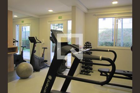 Apartamento para alugar com 28m², 1 quarto e sem vagaAcademia