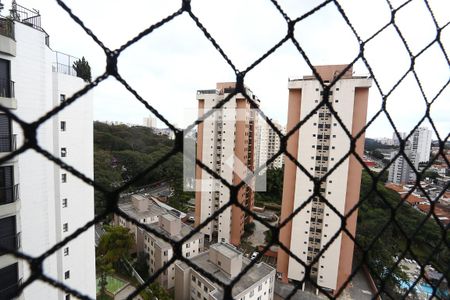 Apartamento para alugar com 75m², 3 quartos e 1 vagaVista