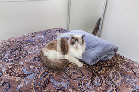 Apartamento à venda com 131m², 3 quartos e 2 vagasSuíte