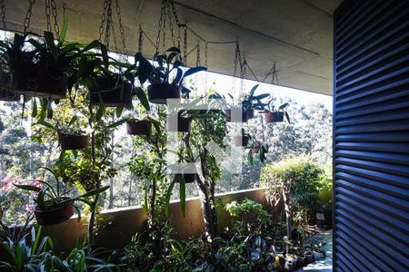 Apartamento à venda com 500m², 4 quartos e 3 vagasVaranda da suíte 4