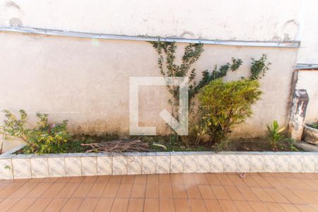 Casa para alugar com 191m², 3 quartos e 4 vagasQuintal