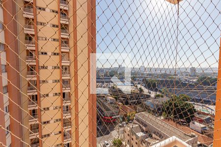 Vista da Varanda da Sala de apartamento para alugar com 3 quartos, 70m² em Casa Branca, Santo André