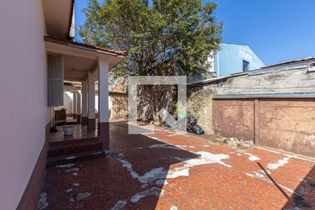 Quintal de casa para alugar com 2 quartos, 214m² em Vila Vilma, Santo André
