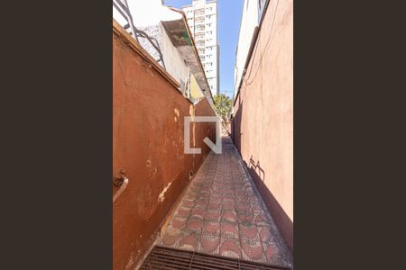 Corredor Acesso de casa para alugar com 2 quartos, 214m² em Vila Vilma, Santo André