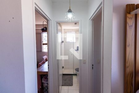 Corredor de apartamento para alugar com 2 quartos, 43m² em Vila Talarico, São Paulo