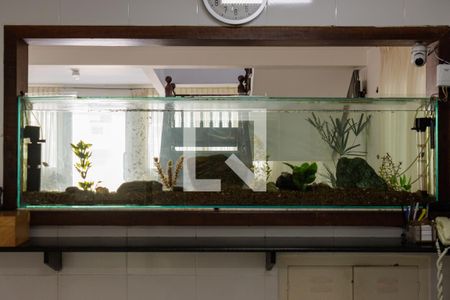 Casa à venda com 1200m², 6 quartos e 7 vagas Casa à venda com 1200m², 6 quartos e 7 vagasCozinha 1