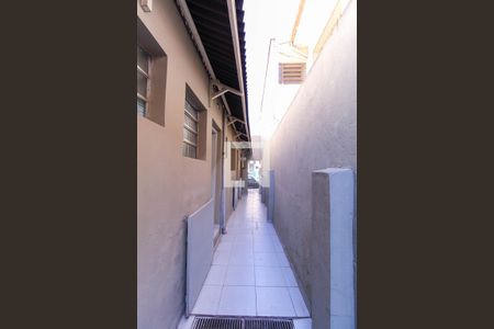 Studio para alugar com 9m², 1 quarto e sem vagaQuintal